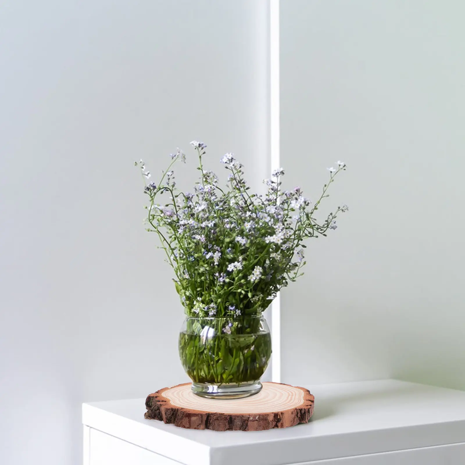 

2Pcs Natural Rustic Wood Bark Slices Unfinished Round Discs 18-20Cm Craft Wood Rounds for DIY Wedding Holiday Decorations