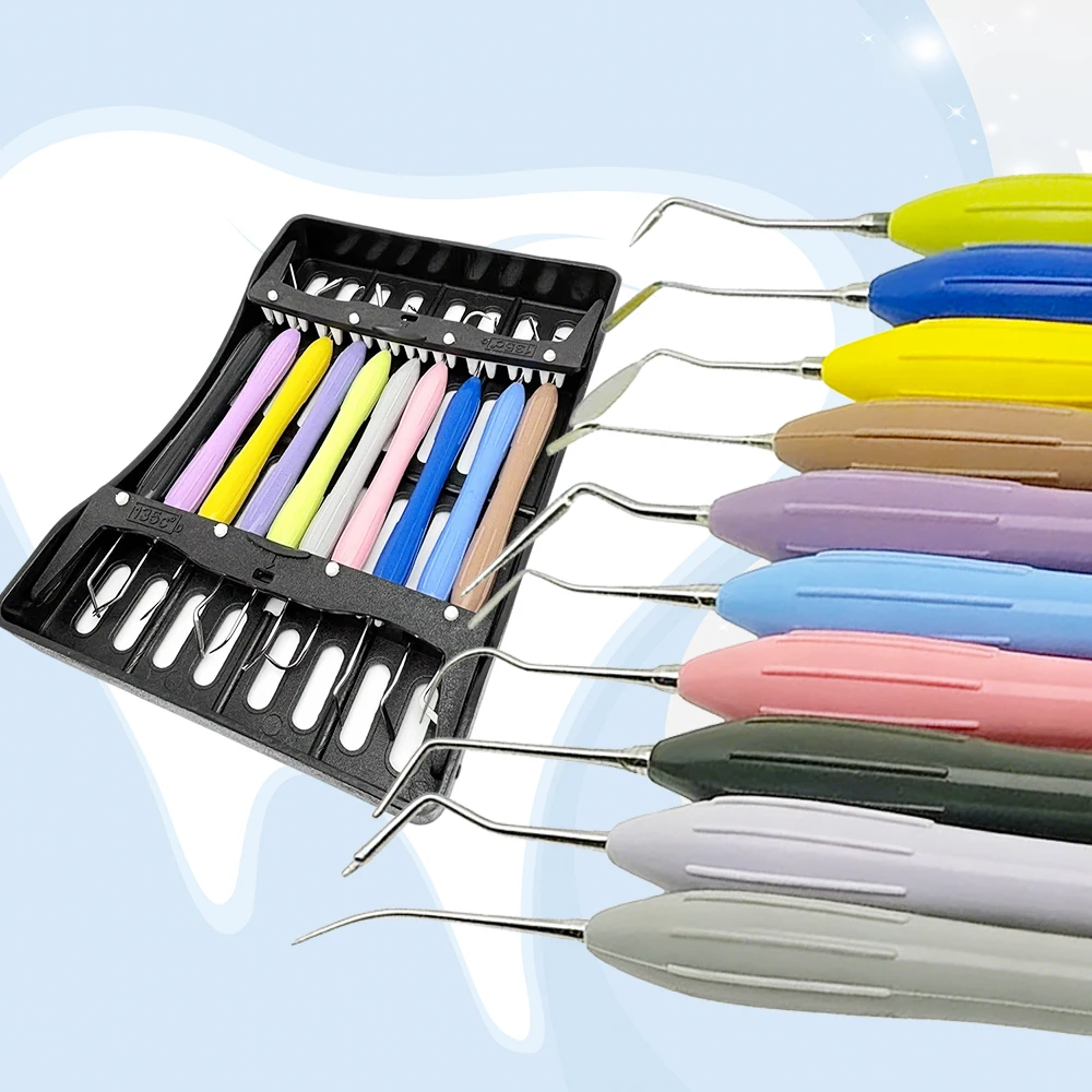 

10 Piece Dental Composite Resin Spatula Set for Silicone Mixing Sculpting and Aesthetic Restoration Proc