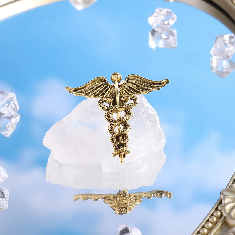 Retro Medizinische Caduceus Emaille-Anstecknadeln Medizinsymbol Flügel mit Schlangen Brosche Schmuck Geschenke für Ärzte Krankenschwestern Rucksack Revers Abzeichen – Detail 11