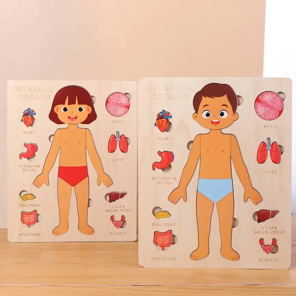 

Multi-Layer Wooden Human Body Puzzle Activities Busy Board Boys Girls Body Structure Puzzle Early Educational