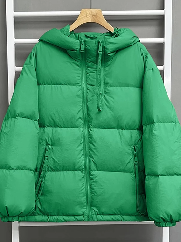 

Женская хлопковая куртка-пуховик 2026 года, осенне-зимняя, утепленная, в корейском стиле, свободного кроя, с длинными рукавами, на молнии