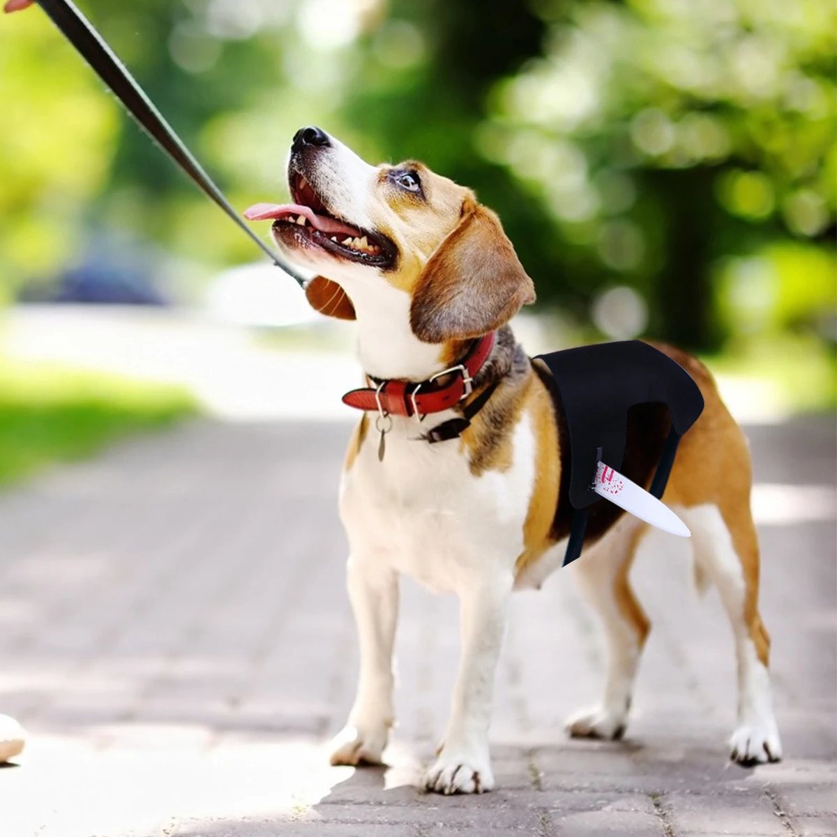 

1Pcs Halloween Pet Harness Comfortable Adjustable Dog Cat Vest Scary Costume Outfit Halloween Pet Harness Cat Vest