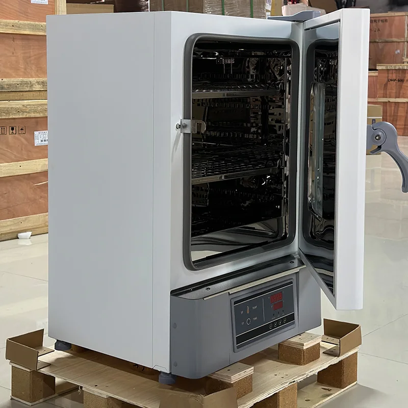

Digital Display Stainless Steel Inner Tank Vertical Double Duct Forced Air Supply Electric Blast Drying Oven