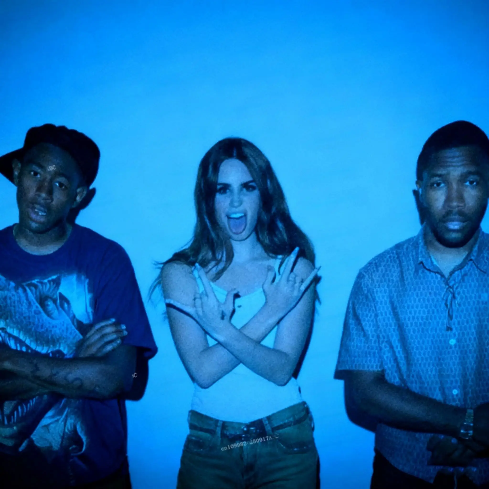 لانا ديل ري فرانك أوشن تايلر الخالق نسيج جدار الفن شنقا لغرفة النوم غرفة النوم أو غرفة المعيشة نسيج المنزل