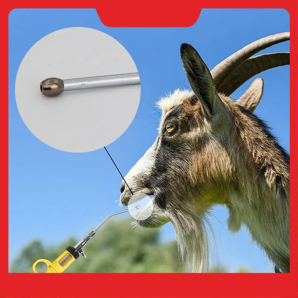 Veterinary Drencher Medicine Filling Device, Livestock Care Device Feeding Gun Device Veterinary Medicine Dispenser