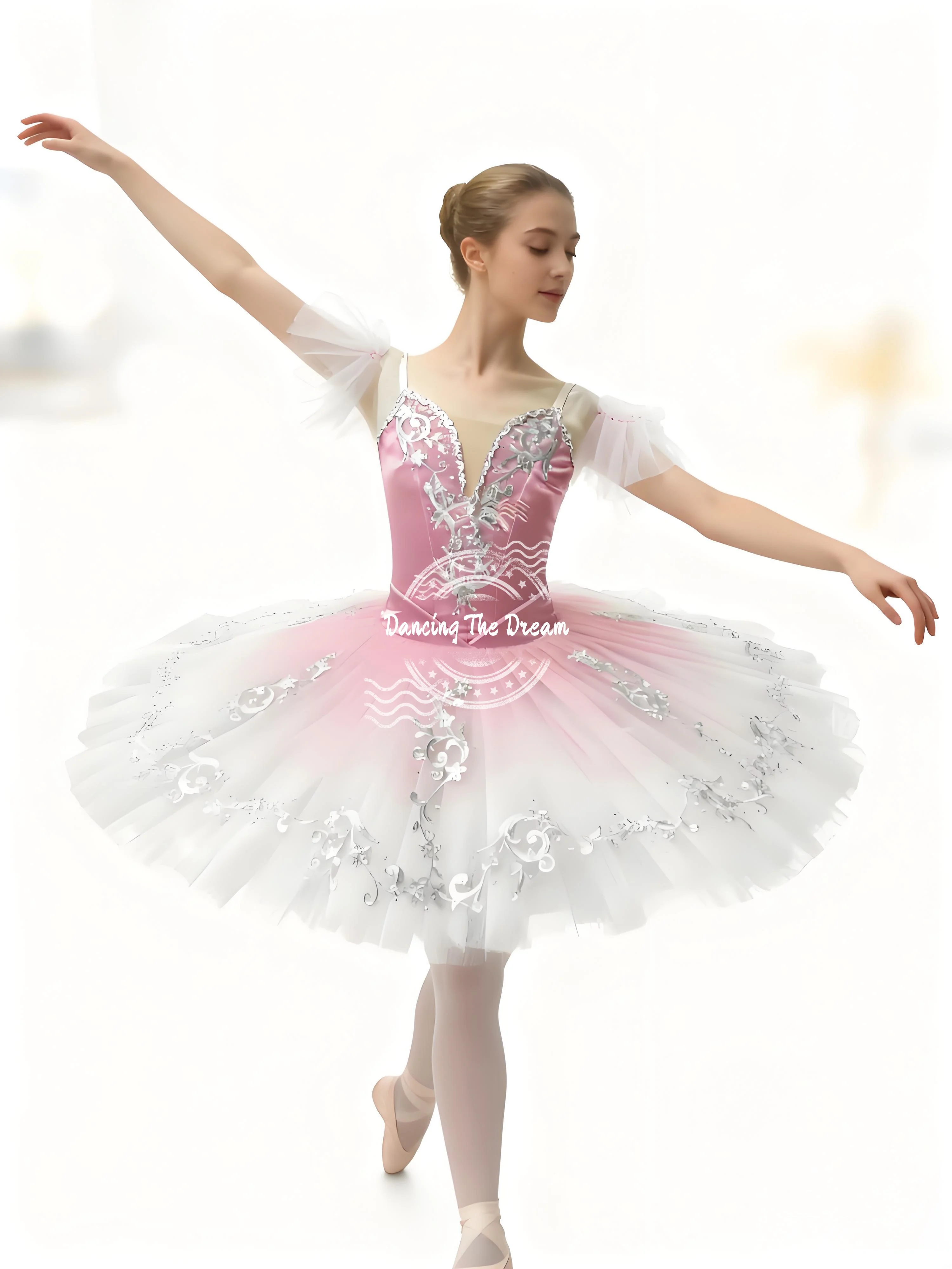 

Pink Ombre Tulle Ballet Dress with Silver Embroidery Pink Ombre Mesh - Layered Tulle Ballet Dress with Silver Beads