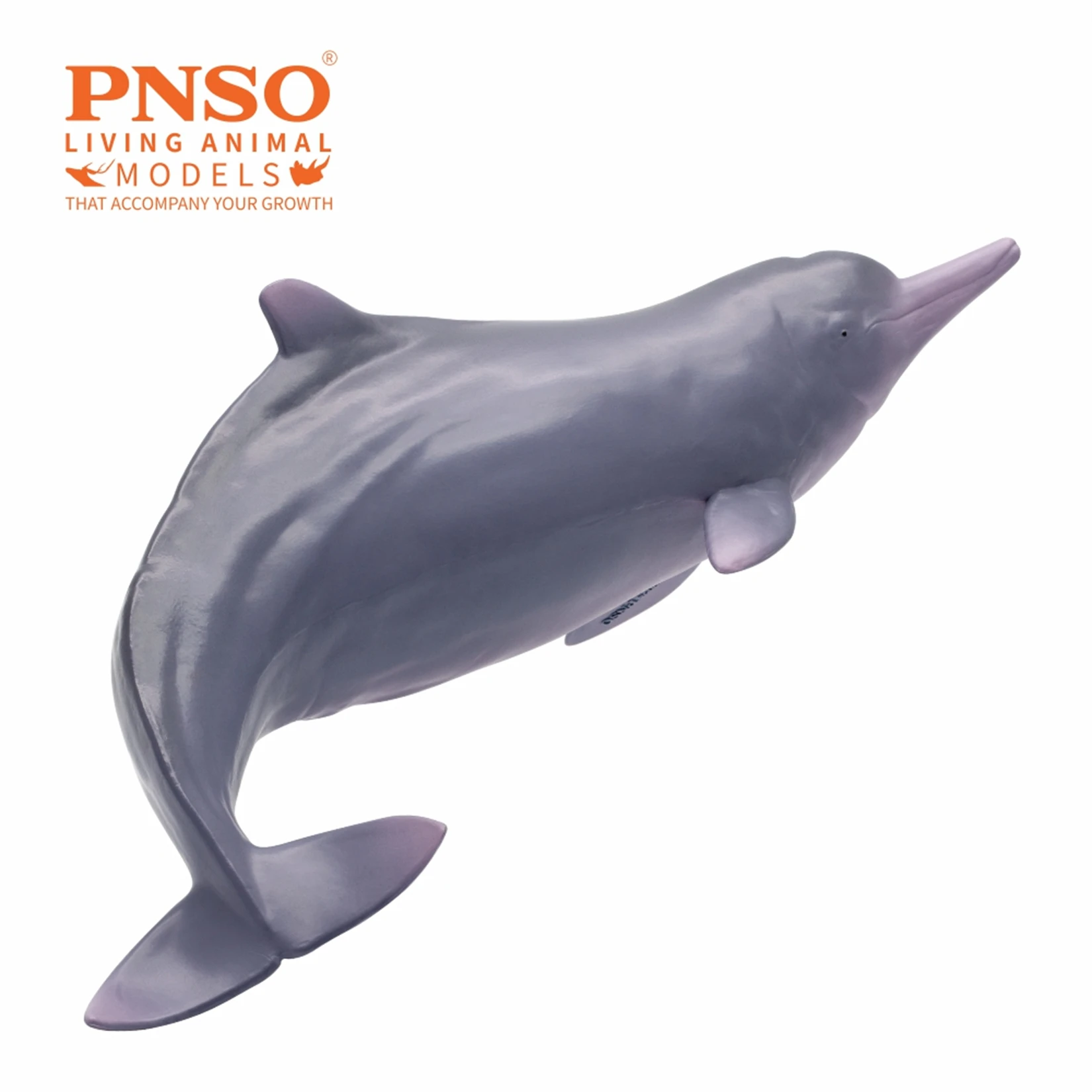 PNSO 17 Chinese White Dolphin Model Xibao Marine Mammal Animal Figure Collection Realistic Scene Decoration Birthday Gift