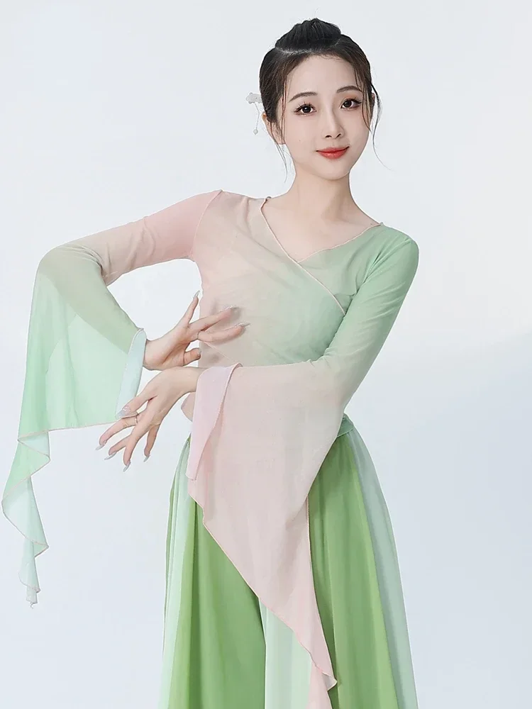 

Women Elegant Classic Dance Costume Ethnic Modern Dance Training Dance Suit Fan Yangko Stage Clothing Chinese Style Hanfu
