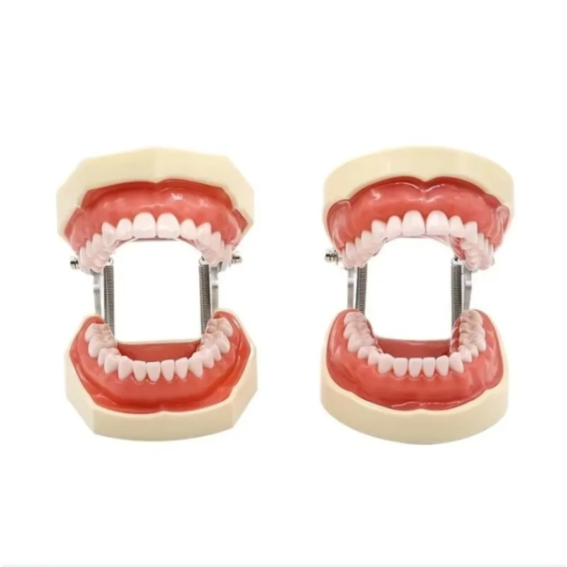 28 32 Oral Dental Teeth Model Preparation Practice Soft Gums Removable Oral Teaching
