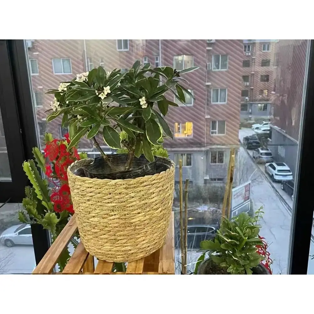 1Pcs For Garden Terraces Flower Pot Basket Planter Basket Rattan Straw Grass Woven Flowerpot Furniture Decoration Mini/S/M/L