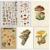Vintage Botanical Mushroom Poster Print  Antique Wall Art Canvas Painting  Science  Nature Decor for Home  Plants and Fungi Illu