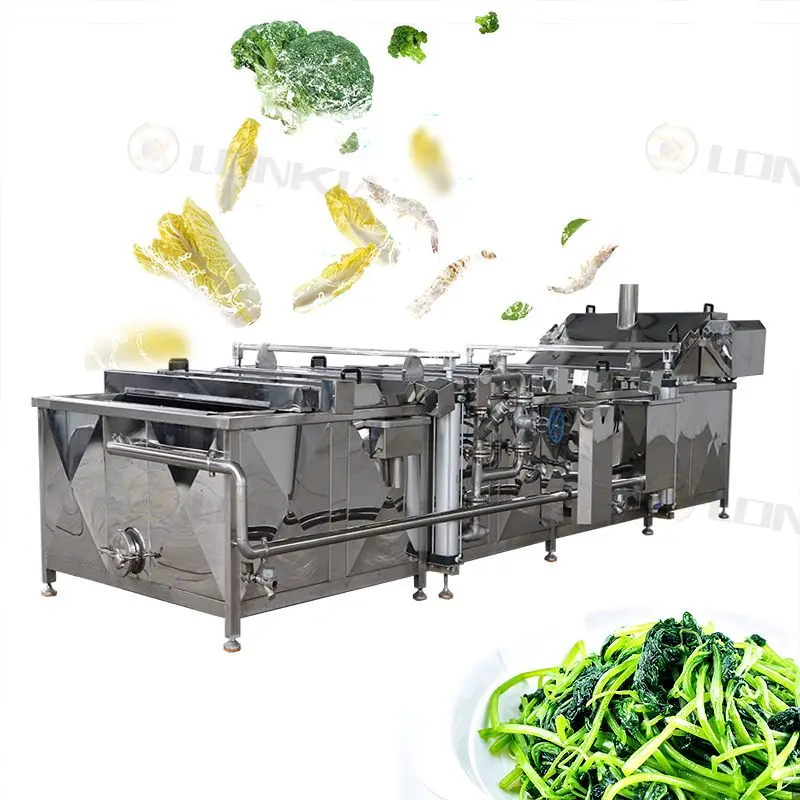 Fish Seafood Eggplant Pineapple Groundnut Noodle Shrimp Blanch Equipment Banana Chips Conveyor vegetable Blanching Machine