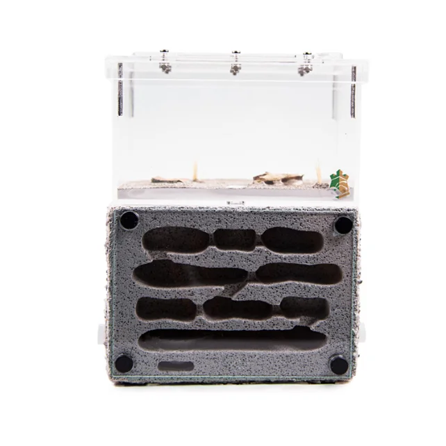 Easy Observation Formicarium Ant Terrarium Ant Raising Nest