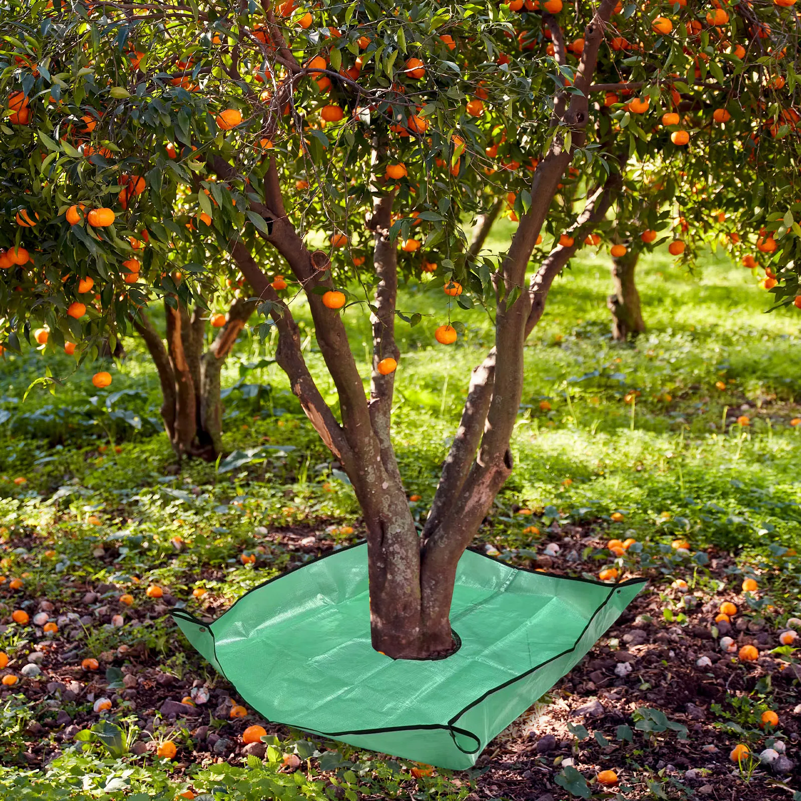 Tarp for Gardening 39.37x39.37inch with 7.9 Inch Center Hole and Four Corner Buckles for Easy Fixing Around Shrubs and Trees