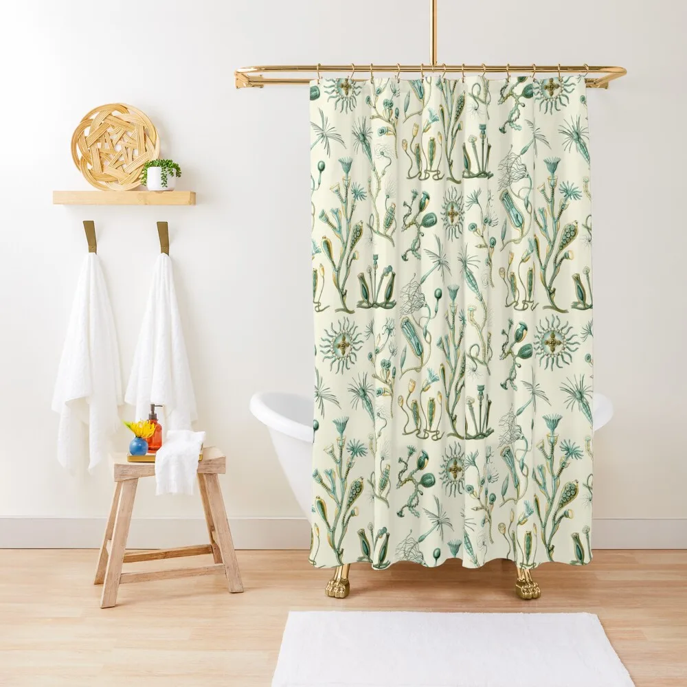 

Ernst Haeckel - Scientific Illustration - Campanariae Shower Curtain Bathroom Fabric Anime Shower Bathroom And Shower Curtain