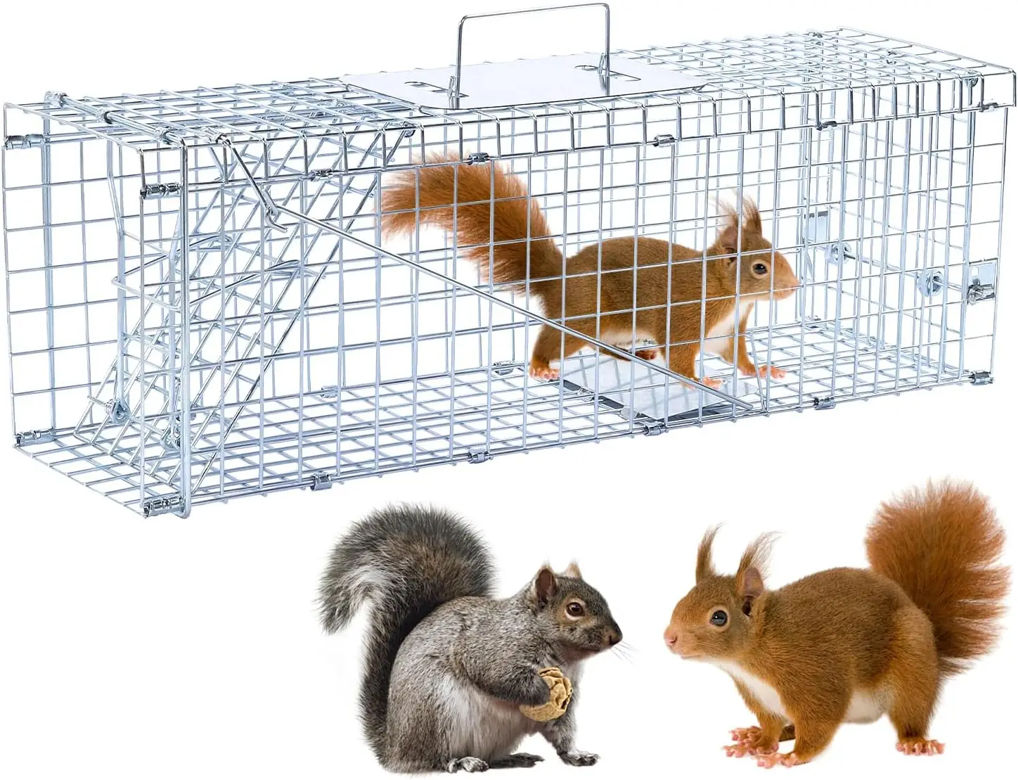 

24" Live Animal Trap Cage for Squirrels, Cats, Rabbits up to 5.5 lbs - Galvanized Rustproof