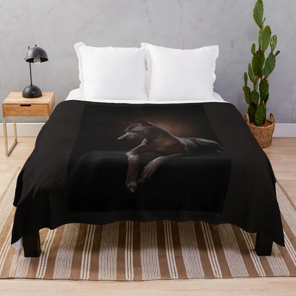 Xoloitzcuintle Throw Blanket Luxury St Bed covers Sofa Quilt Hairys Blankets