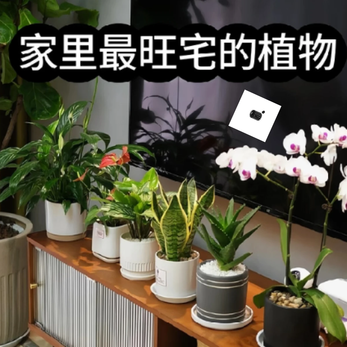 GPM LOSI 1/18 Mini-T 2.0 1/16 Mini-B Aço endurecido 45 #   Pinhão 14T-16T para peças e acessórios de carros RC