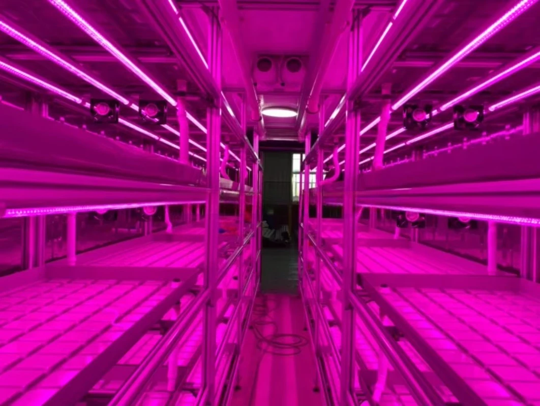 مصنع نباتات الخضروات، حاويات شحن الزراعة المائية، حاويات المائية، الدفيئة للمزارع