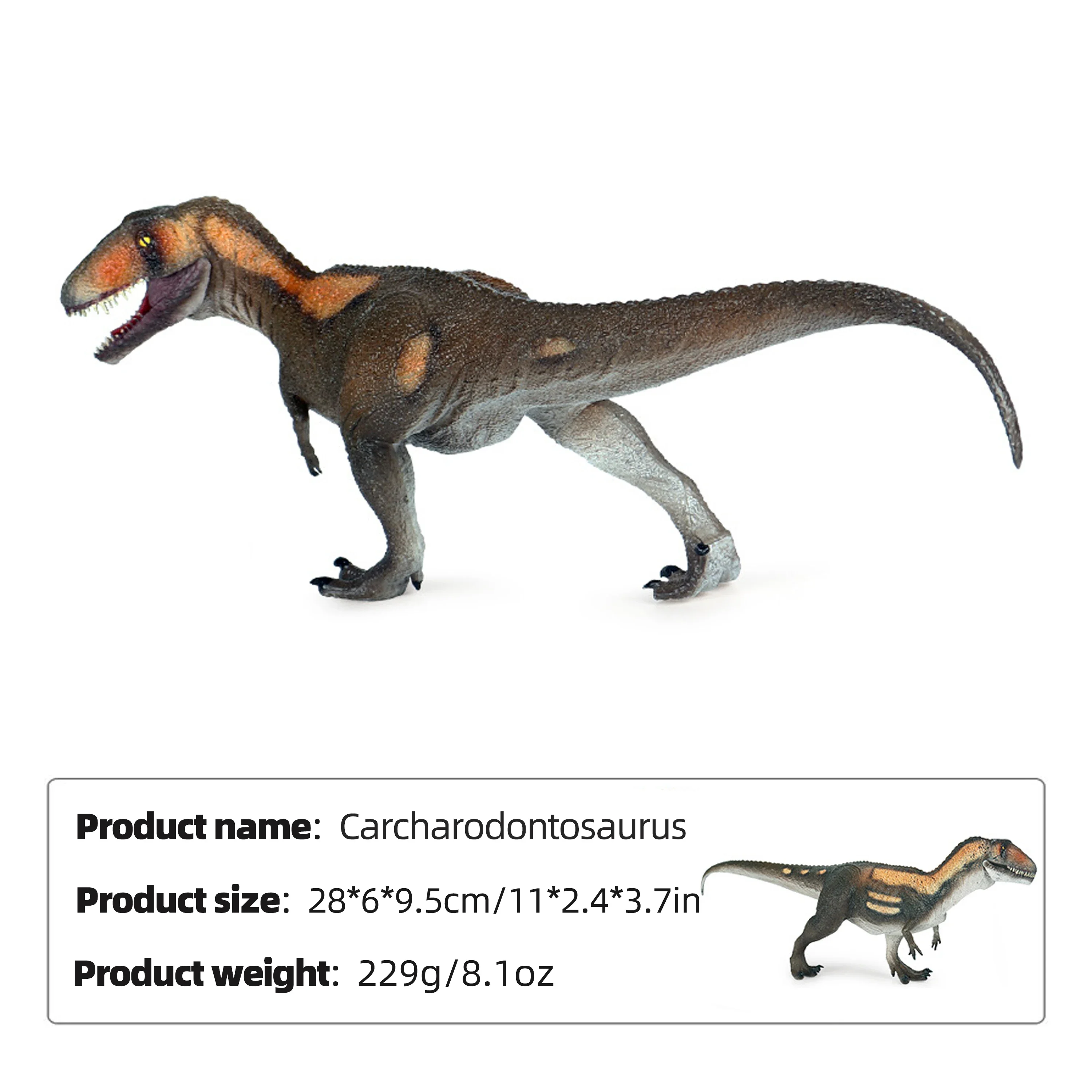 New Jurassic Carcharodontosaurus Static Model Jurassic Park Movie Decoration Collect Halloween Christmas Birthday Gift Kids Toy