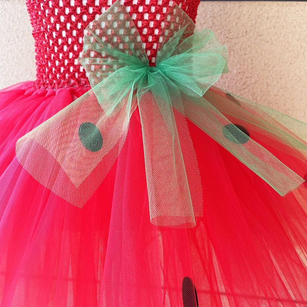 Strawberry Tutu Dress  Princess Dresses for Birthday Costume Watermelon Halloween Christmas Costumes