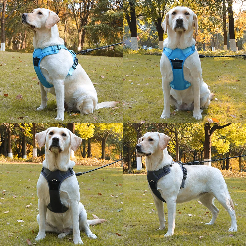 Durable Dogs Vest Harness Reflective Explosionproof Labrador French Bulldog Harness Pet Chest Strap for Mid Big Dogs Accessories