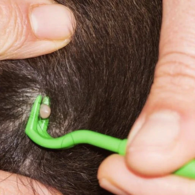 Low Moq Pets Tick R… - image