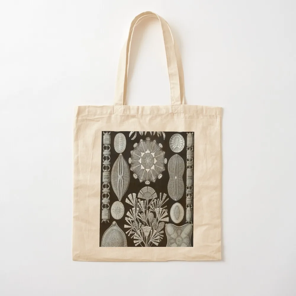 Haeckel Diatomea Tote Bag eco pack shopper bags tote bag woman