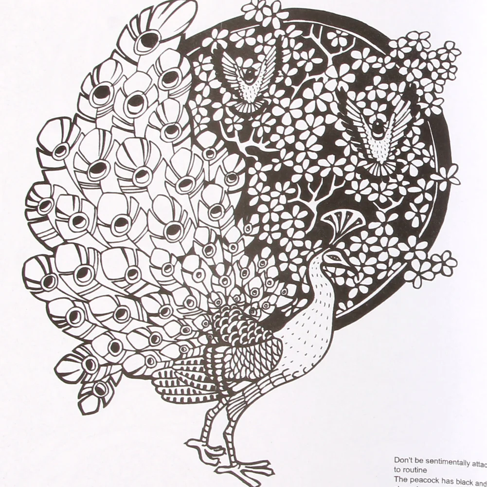 كتب هدايا الكتابة على الجدران الإنجليزية الجديدة للكبار، كتاب تلوين استكشاف بلاد العجائب