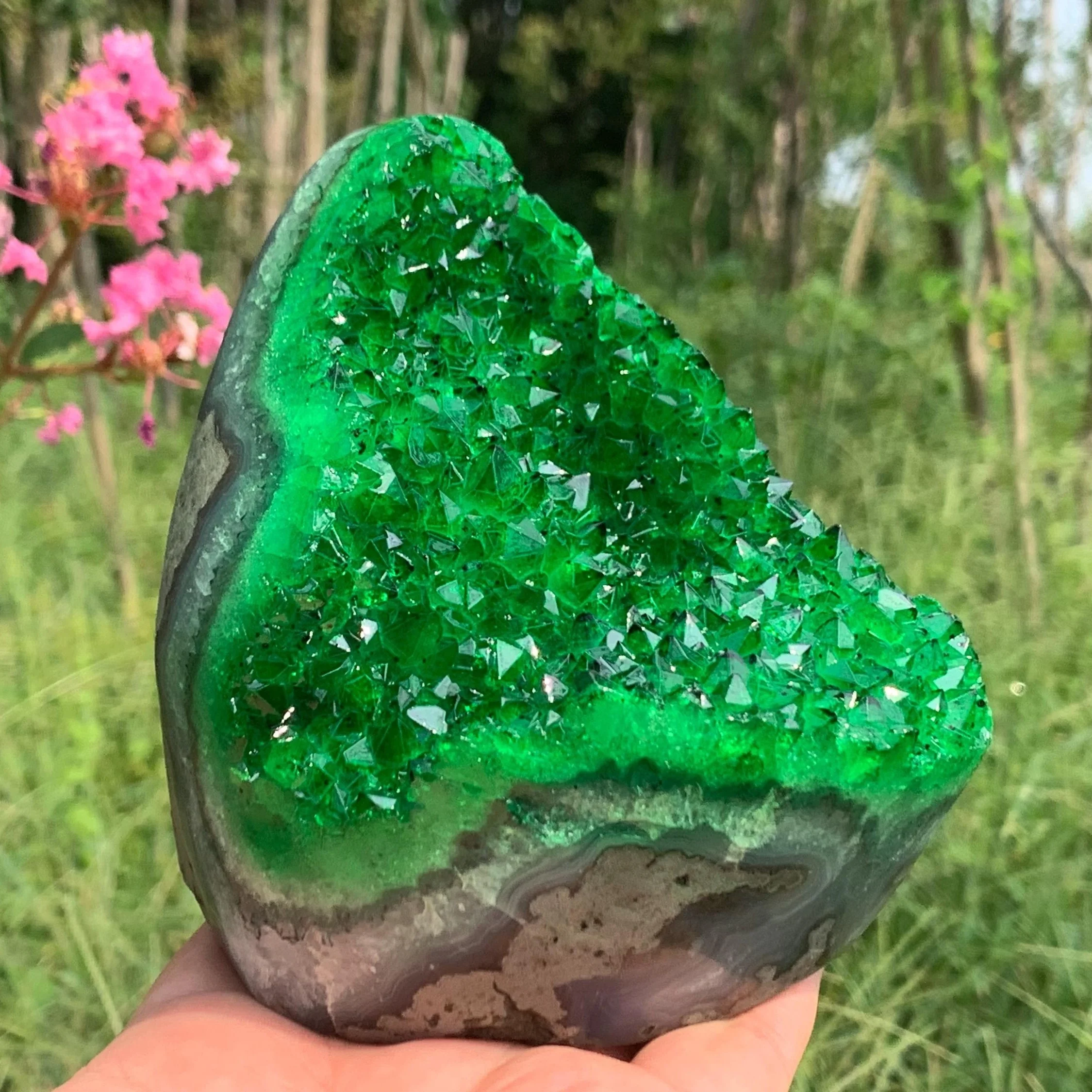 AAA+ Premium Green Quartz Crystal Cluster - The perfect crystal gift for parents, collectors, and the holidays.