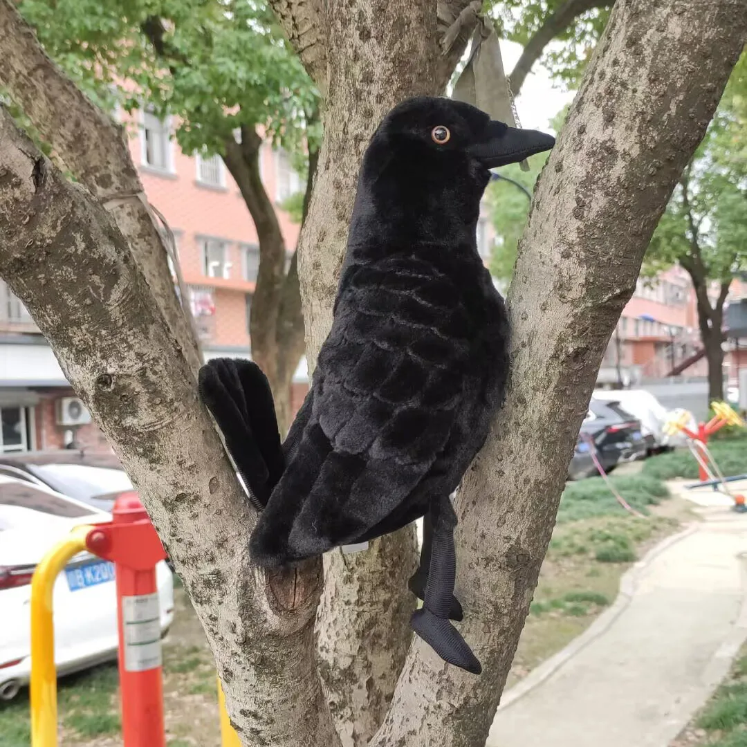 Simulated Animal Crow Corvus Validus Black Bird Ravens Jackdaw Wild Nature Zoo Model Plush Toy Stuffed Doll Girl Boy Friend Gift