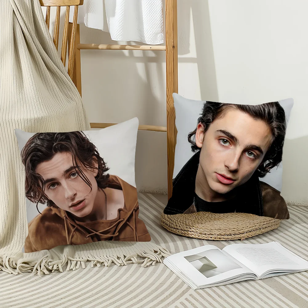 Actor Timothee Chalamet Pillow Case Home Decoration Cushion Cover Suitable For Office Sofa Bedroom Car