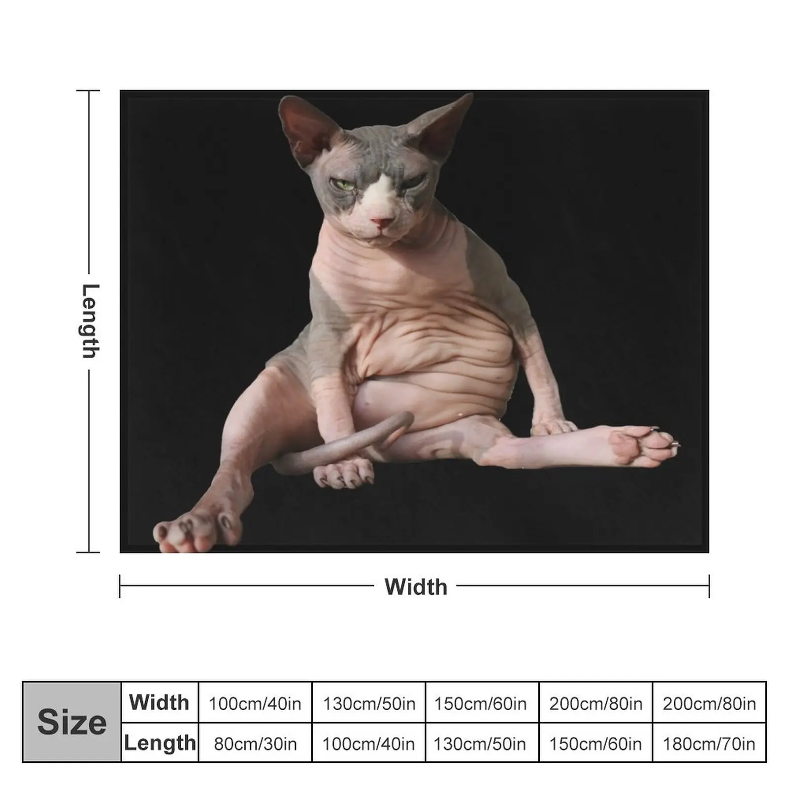 Cowboy the Hairless (cat) Throw Blanket blankets ands Summer Beddings Blankets