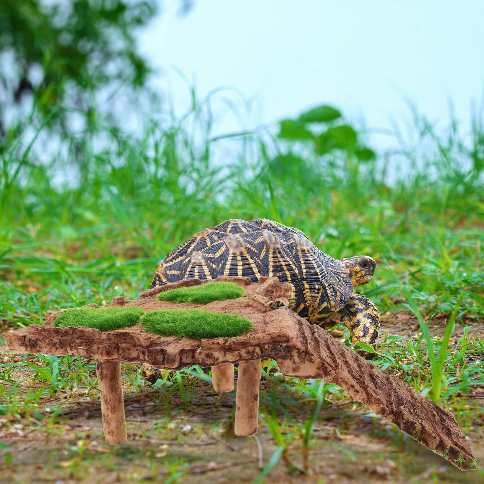 

Resin Turtle Basking Platform For Aquatic Turtles Reptile Tank Accessory Turtle Climbing Ramp Fish Tank Decor Tortoise Habitat