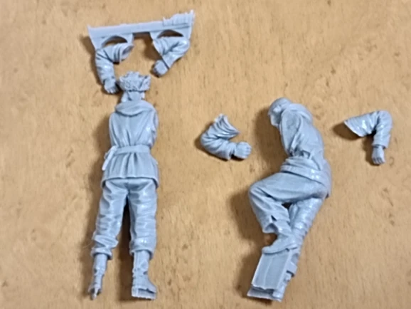 Buyer photo of this resin kit