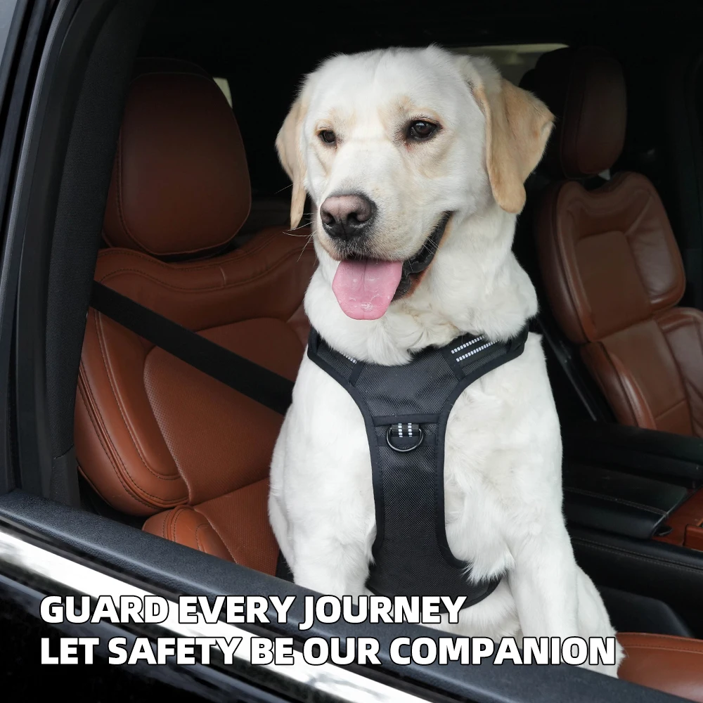 Auto-Sicherheits-Hundegeschirr – No Pull Dog Harness Bewertung und Preis