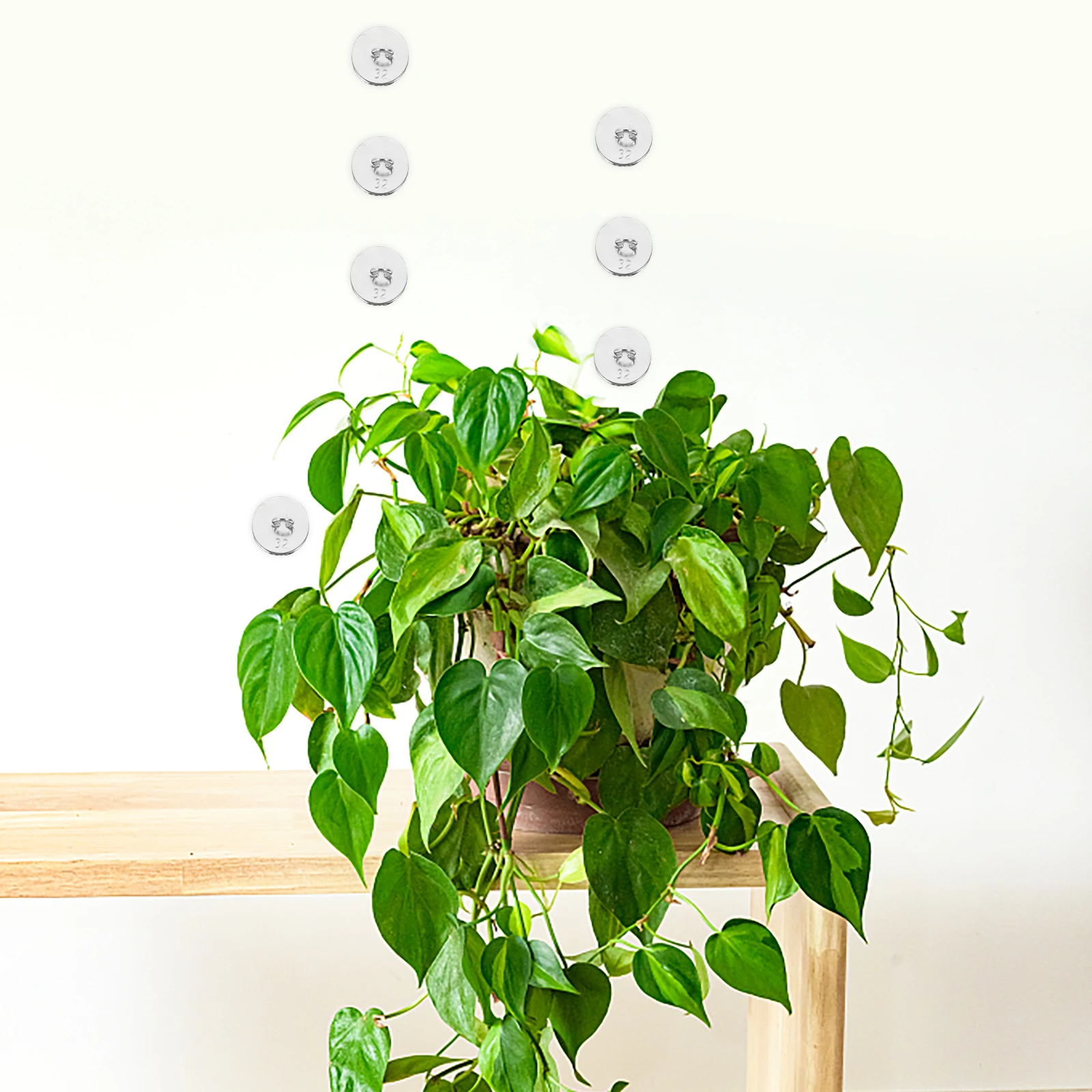 

50pcs Anchor Tool Sturdy for Climbing Plants Plant Support Potted Support Vines Trellis Gardening