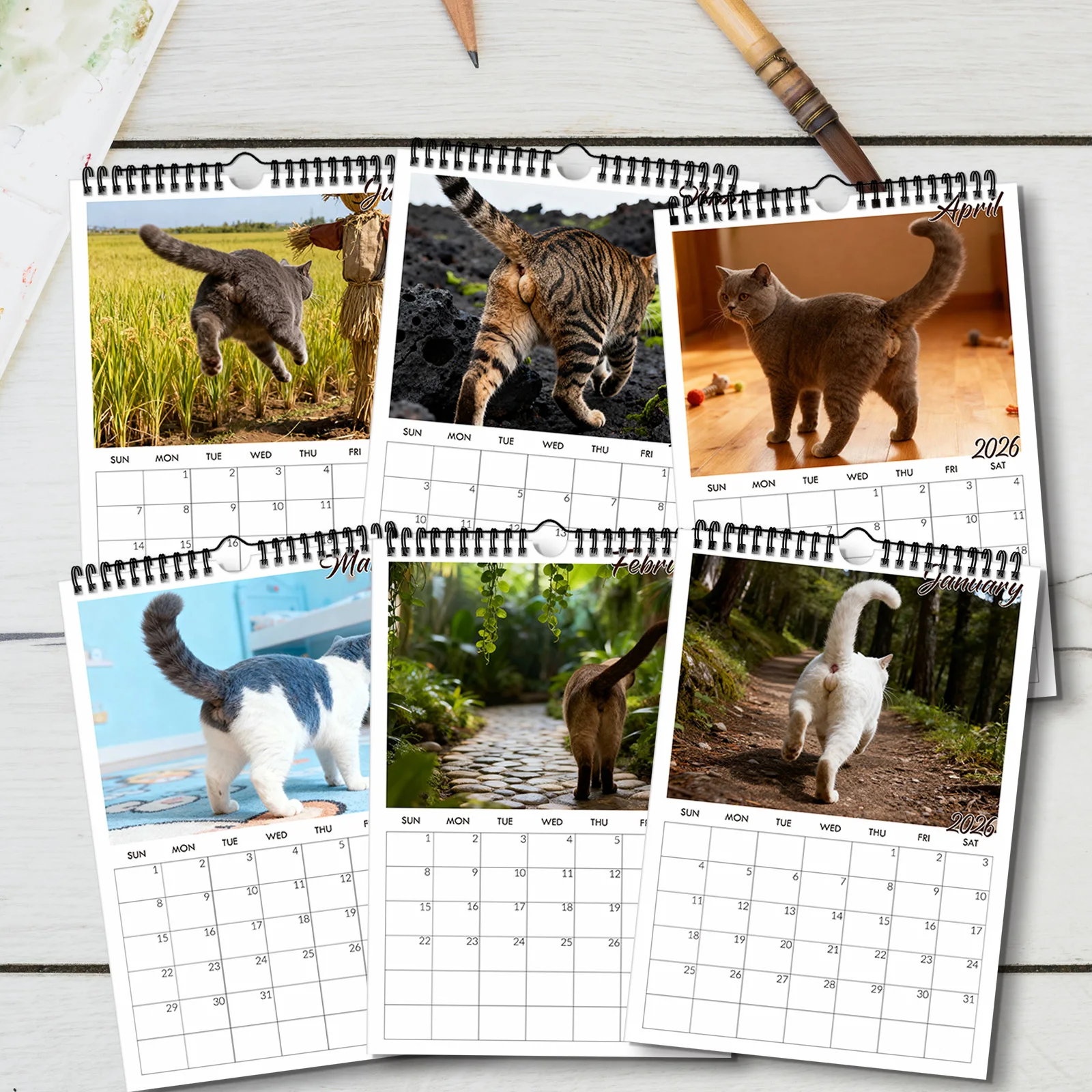 Calendrier mural humoristique sur le thème des fesses de chat 2026, idéal pour la décoration de la maison et l'organisation quotidienne, calendrier mural amusant, 1 pièce