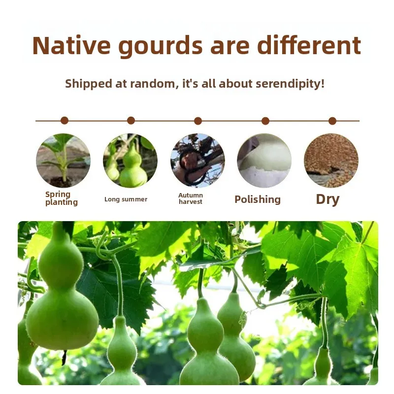 Natural Gourd Handheld Palm Bead Stress Relief Fidget Ornament Keychain Bag Charm Pendant Versatile Carryable Accessory Everyday view 3
