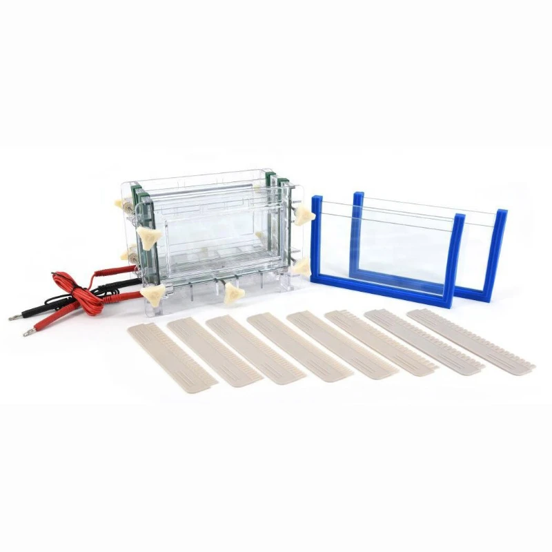 

DYCZ-30C Protein Vertical Electrophoresis Cell Tanks Gel size 105*185mm particularly for seed purity test