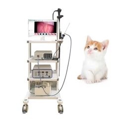 Veterinary Endoscope Gastroscope Pet Flexible Video Endoscope Camera Veterinary  Equipments