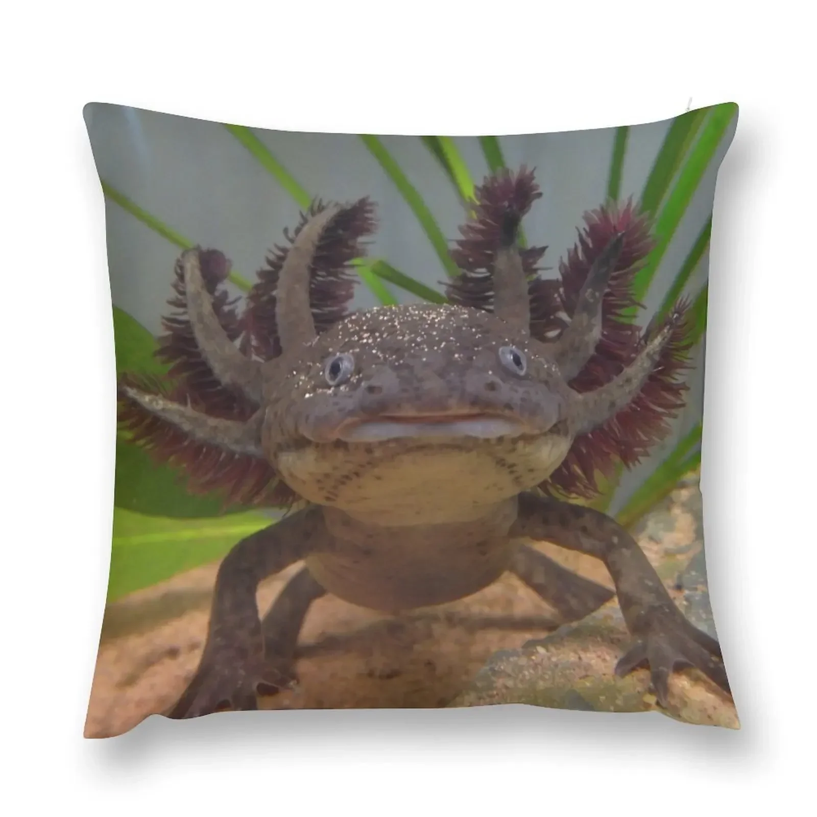 Smiling Axolotl! Throw Pillow pillowcases for sofa cushions autumn decoration pillow