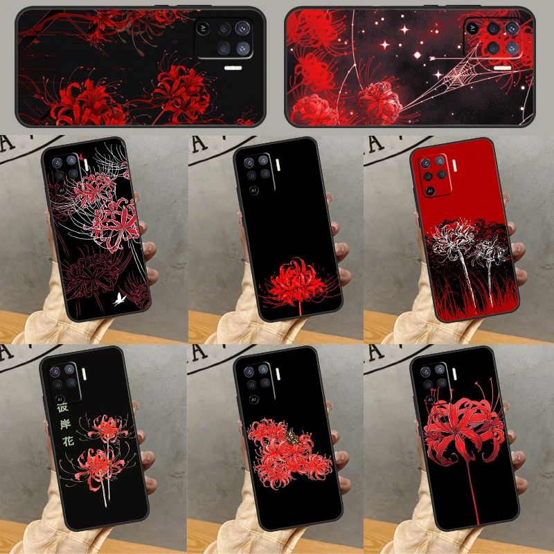 Lycoris Radiata Pho…