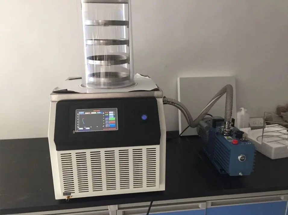 Venta caliente DW-10N fre eze secadora laboratorio alimentos equipo de secado al vacío automático fre eze secadora precio