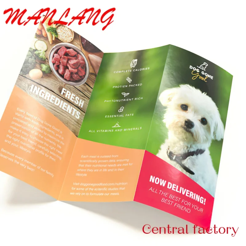 

Custom High Quality Leaflet Printing Gloss Design Color Paper Brochure Folding Printing Flyer With Good Price