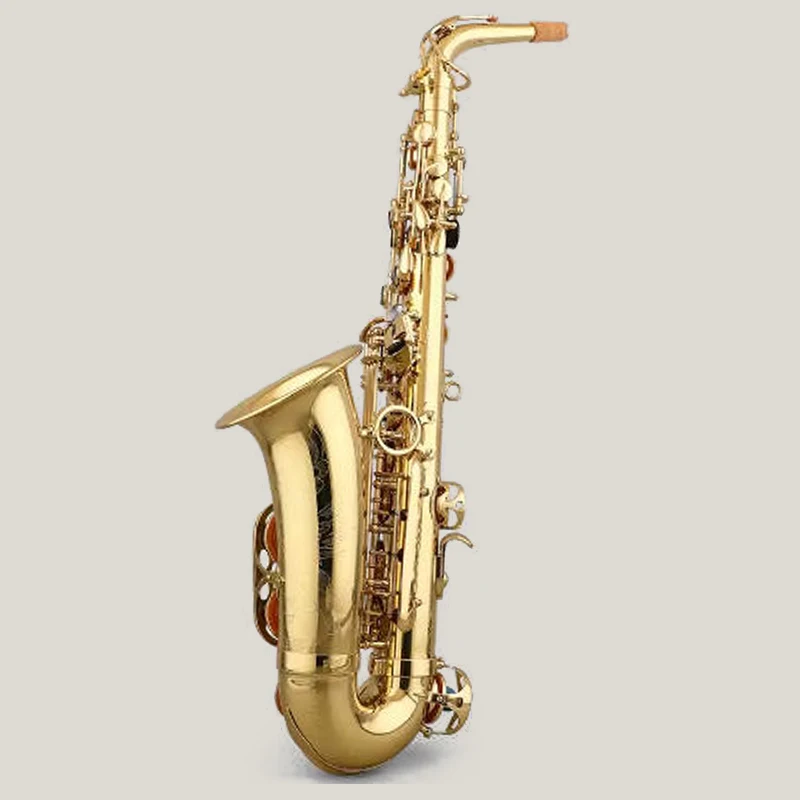 Alto Saxophone Prof… - image