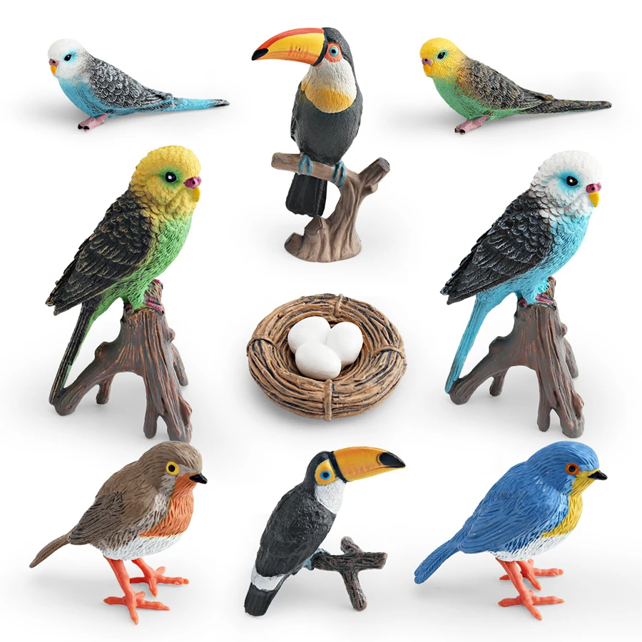 واقعية جافا سبارو روبن الببغاء الطوقان الطيور دورة نمو الحياة نموذج الشكل التعليمية ألعاب حيوانات الحلي لحديقة الجنية #4