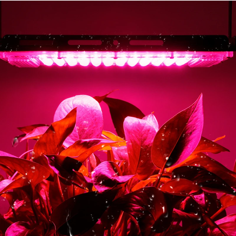 Kweeklicht Full Spectrum Lamp Led Lights Voor Planten 400W Phyto Licht Kas Lampen Planten Zaden Veg Zonlicht Led Fitolamp