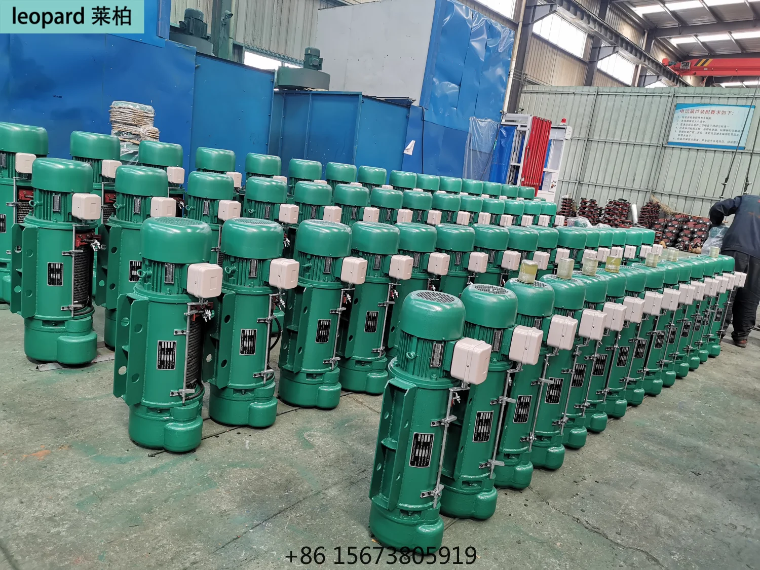 Compact Dual Speed 220V Wire Rope Electric Hoist Crane for Industrial Use