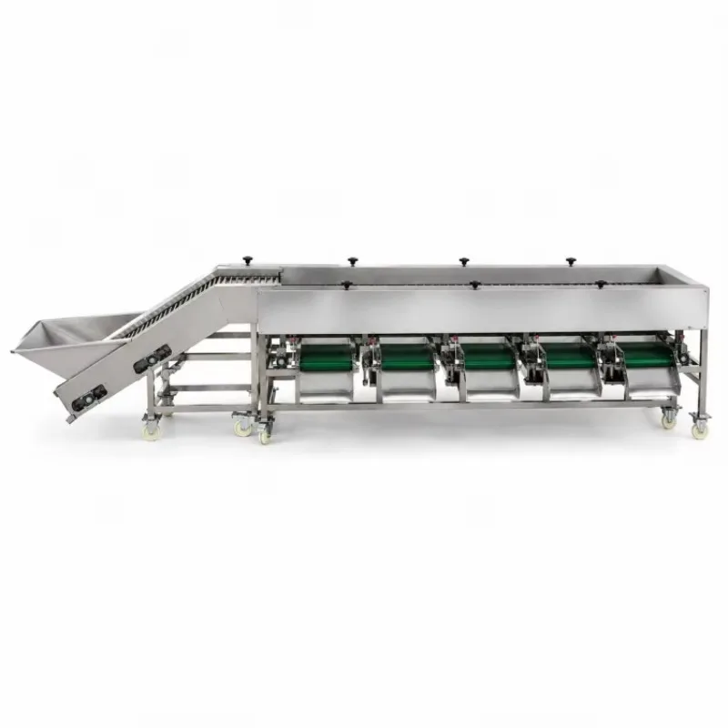 Automatic Coconut Strawberry Cherry Conveyor Belt Sorting Machine Vegetable Fruit Sorting Machine